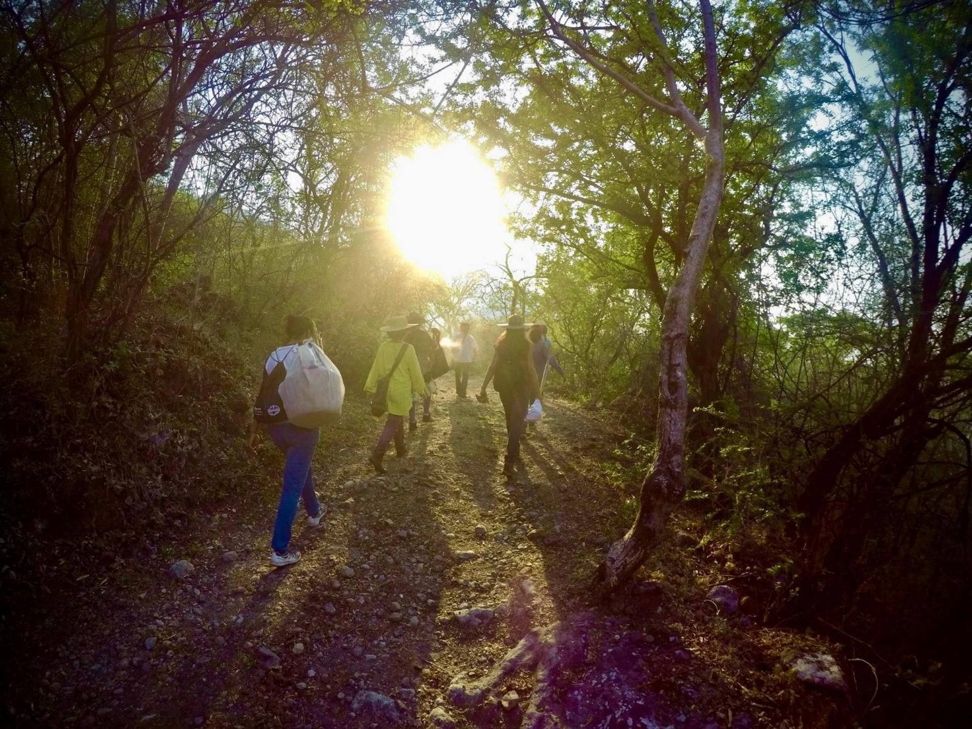 Santuario Ave Fenix-Cabanas Tepoztlán Kültér fotó
